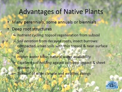 Gardening with Native Plants