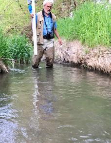 Stream Survey