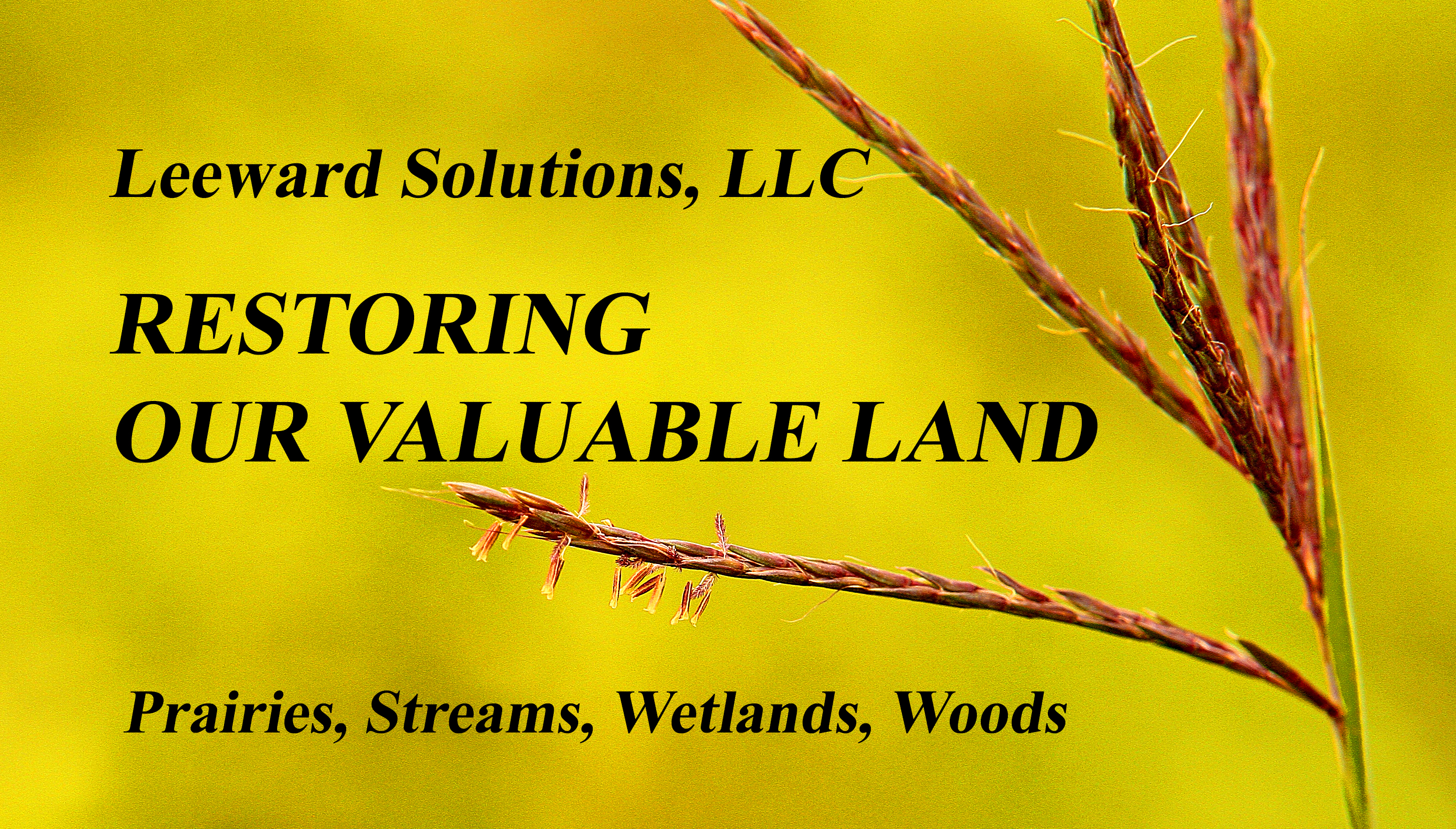 LEEWARD SOLUTIONS, LLC