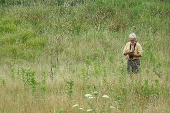 Field Botany & Inventories