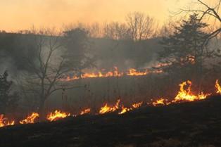 Fire Management Planning