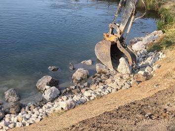 Field Botany & Inventories