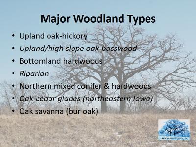 Major Woodland Types in Iowa